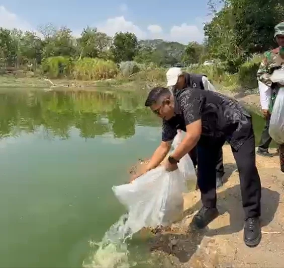 Kepala Dinas Pemuda dan Olahraga Kota Cirebon menebar Benih Ikan ke Embung UPT Balai Pengembangan Ternak Potong (BPTP)