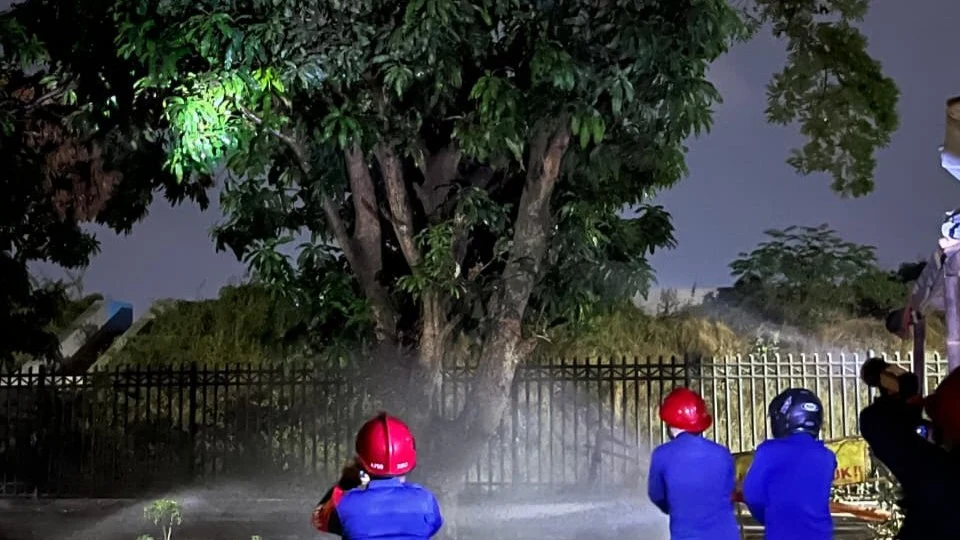 DISPORA Kota Cirebon Dukung Penanganan Sarang Lebah di Jogging Track Stadion Bima Demi Keselamatan Pengunjung